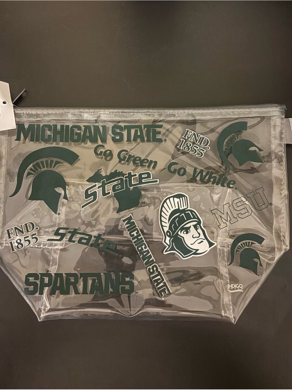 Michigan State clear vinyl pouch